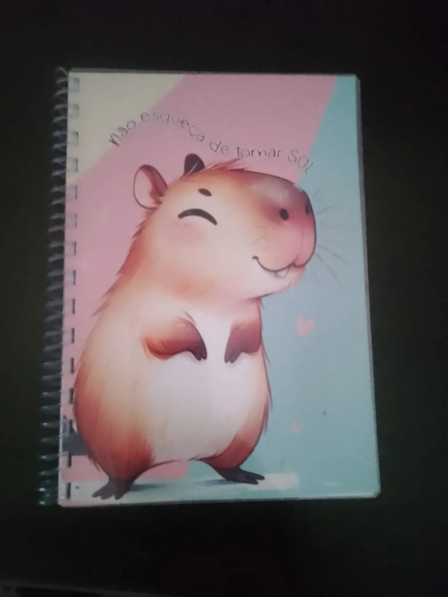 Cadernos personalizados