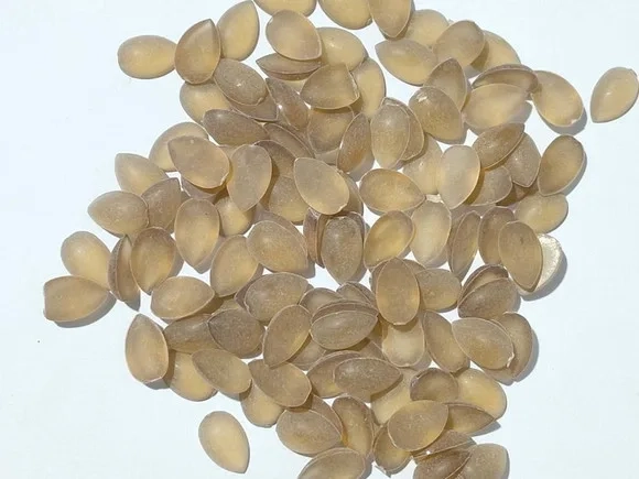 Aplique Lentilha Translúcida Fosca 1mm Pacotes com 30 Gramas