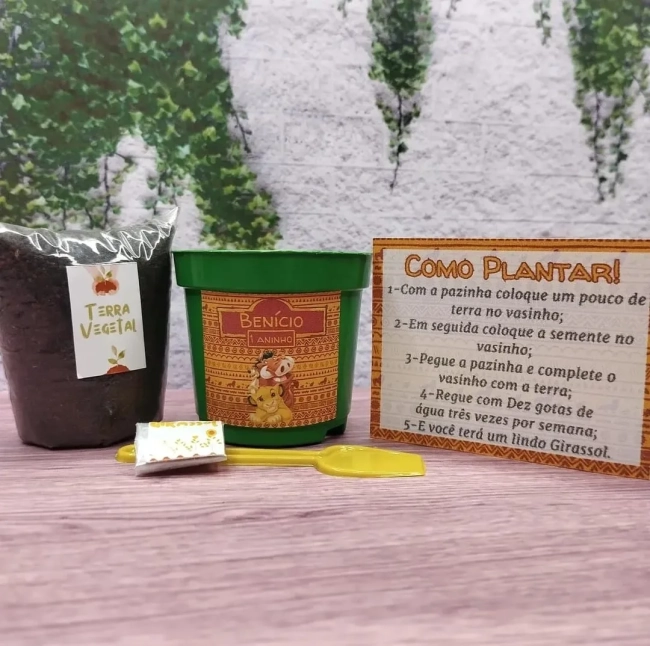 35 unidades Kit Jardinagem Rei Leão - Trabalhamos com qualquer tema - Informar tema no chat.